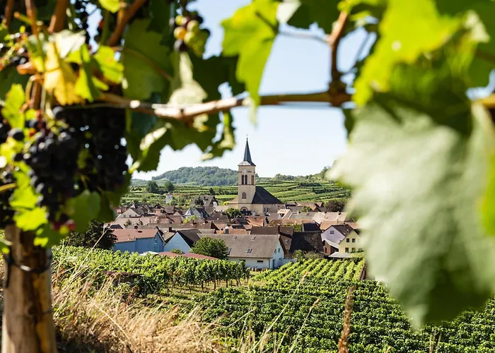 Braviscasa - Ferienresidenz Haus Am Bach Vogtsburg Am Kaiserstuhl
