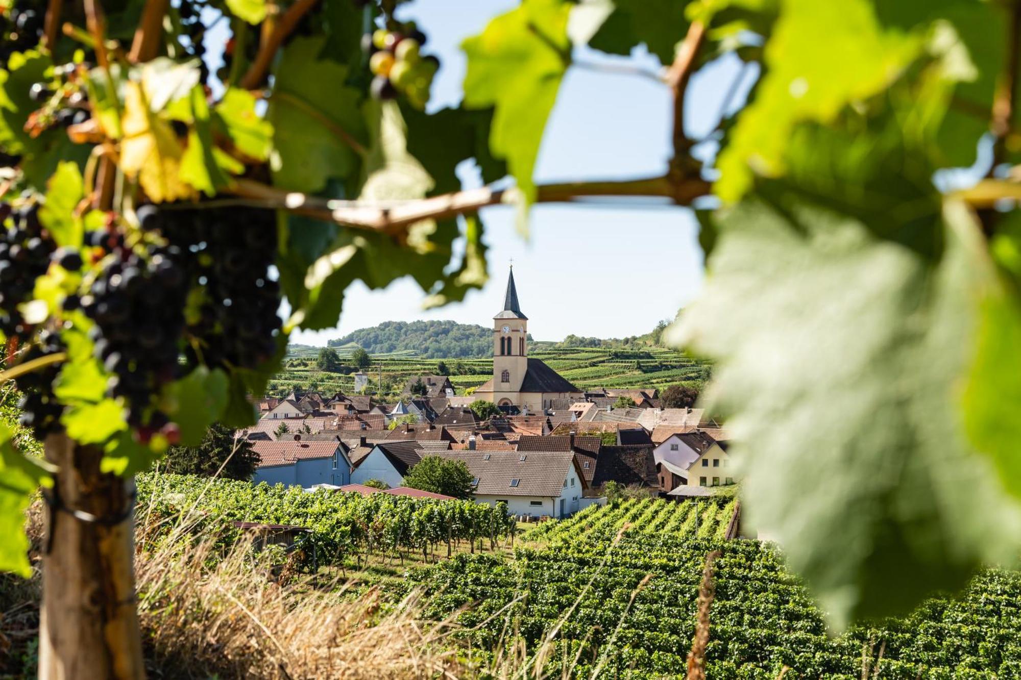 Braviscasa - Ferienresidenz Haus Am Bach Am Kaiserstuhl Appartement *